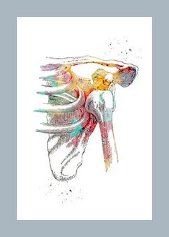 Βελτίωση της μικροκυκλοφορίας στον αρθρικό και μυϊκό ιστό